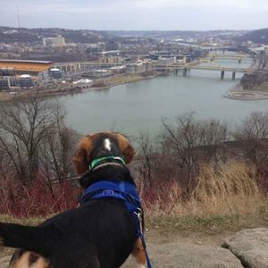 Meet your Posher, Soo